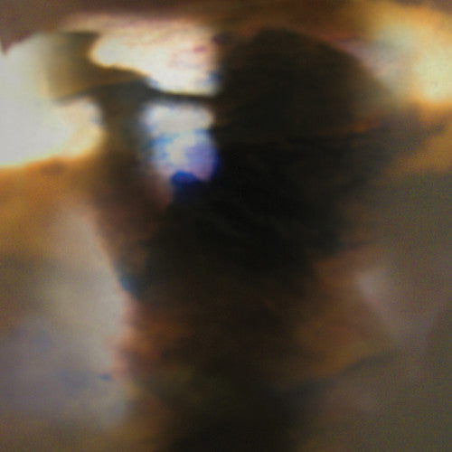 Animal Collective - Fall Be Kind { vinyl }