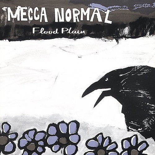 Flood Plan { vinyl }