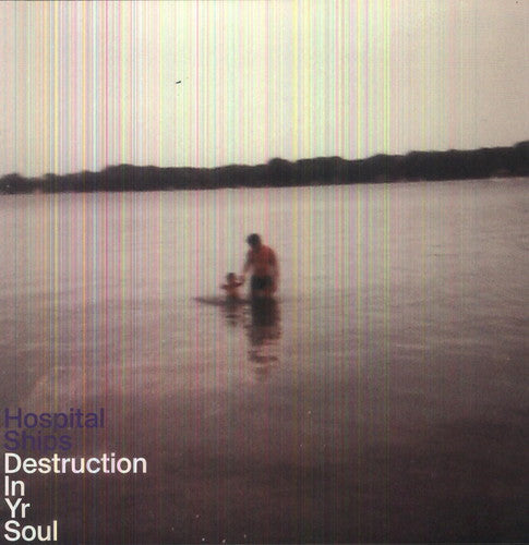 Destruction In Yr Soul { vinyl }