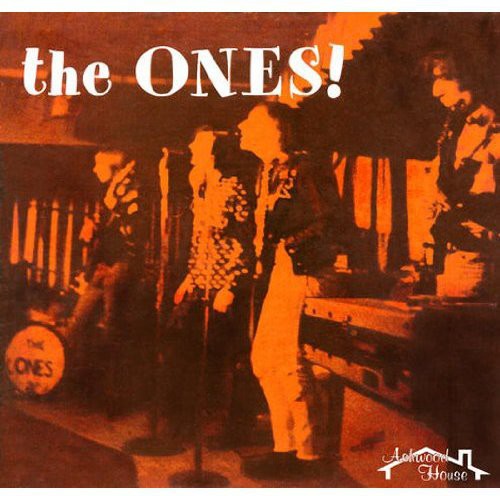 The Ones! - Volume One { vinyl }