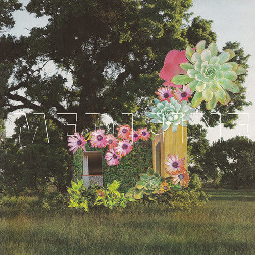 Home Everywhere { vinyl }