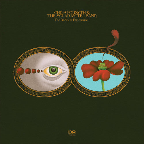 Rarity of Experience { vinyl }