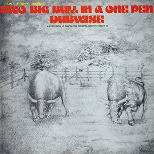 Two Big Bull In a One Pen { vinyl }