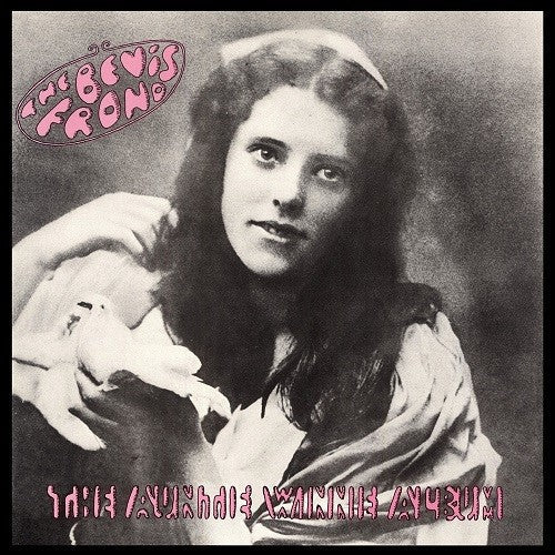 The Bevis Frond - The Auntie Winnie Album (Vinyl) { vinyl }