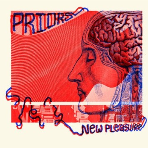 New Pleasure { vinyl }