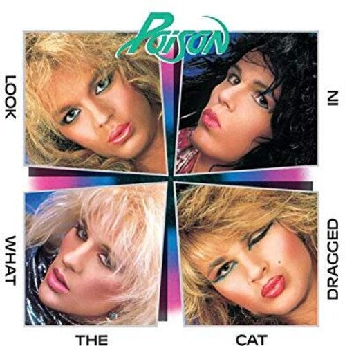 Look What the Cat Dragged In { vinyl }