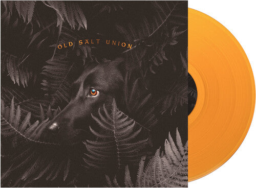 Where the Dogs Don't Bite { vinyl }