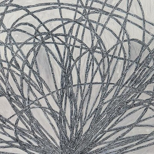Hausi { vinyl }
