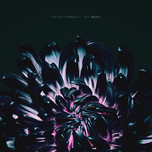 Our Bones { vinyl }