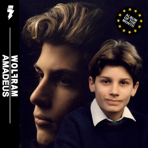 Amadeus { vinyl }