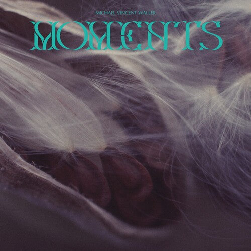 Moments { vinyl }