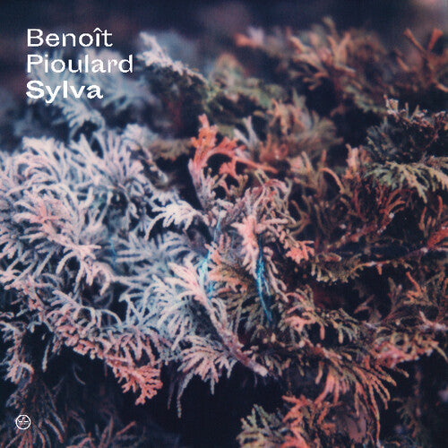 Sylva { vinyl }