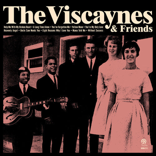 Viscaynes & Friends { vinyl }
