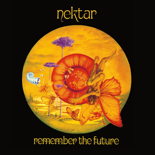 Remember the Future { vinyl }