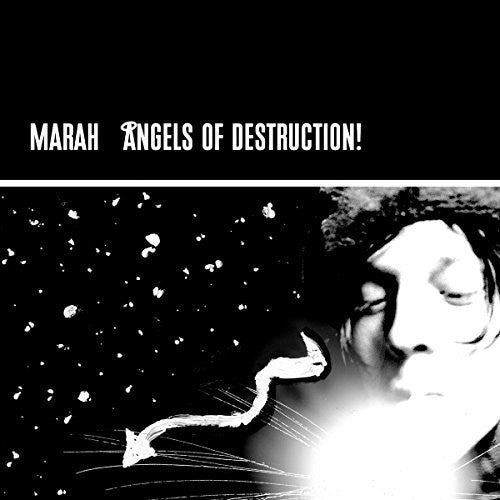Angels of Destruction { vinyl }