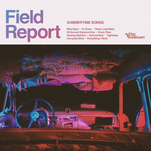 Summertime Songs { vinyl }