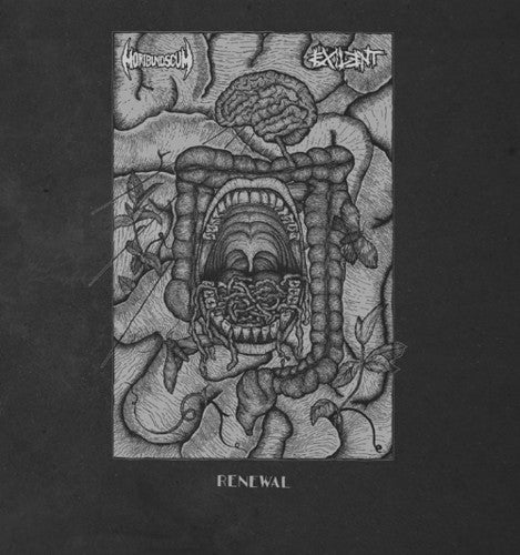 Renewal (Split) { vinyl }
