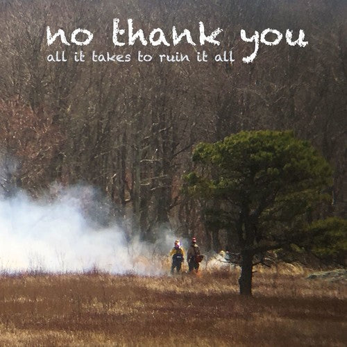 All It Takes to Ruin It All { vinyl }