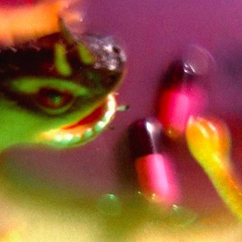 Take the Fall { vinyl }
