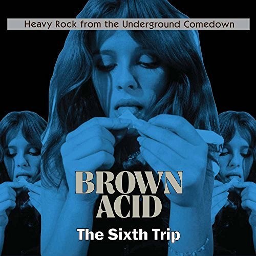 Various Artists - Brown Acid - The Sixth Trip (Various Artists) (Vinyl) { vinyl }