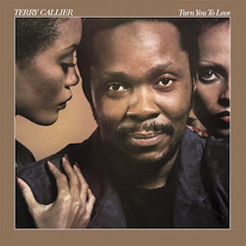 Turn You to Love { vinyl }
