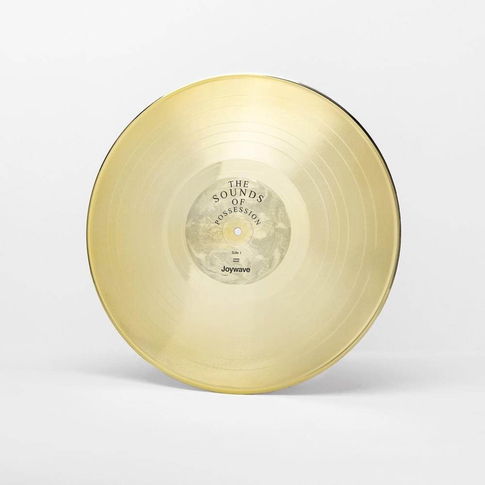 Joywave - Possession (LP) { vinyl }