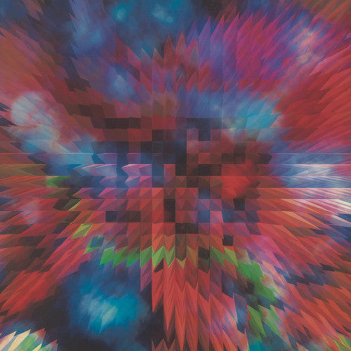 Worship the Glitch { vinyl }