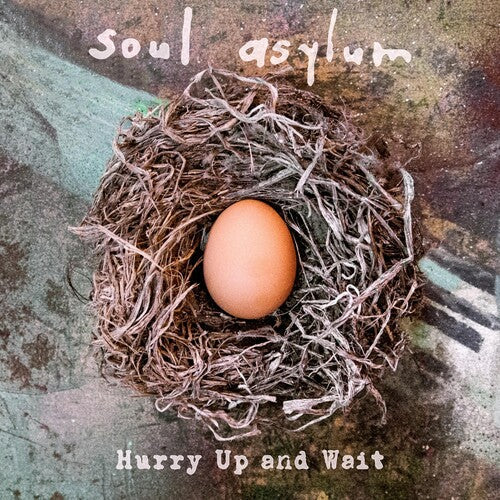 Soul Asylum - Hurry Up & Wait (Vinyl) { vinyl }