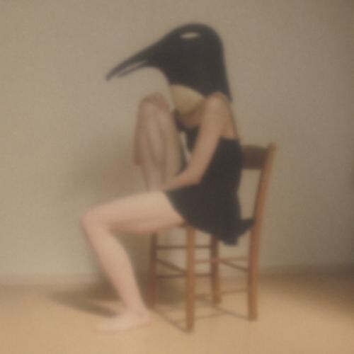 Penguin Cafe Orchestra-Tribute- / Various { vinyl }