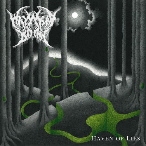 Haven of Lies { vinyl }