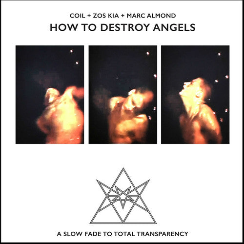 How to Destroy Angels { vinyl }