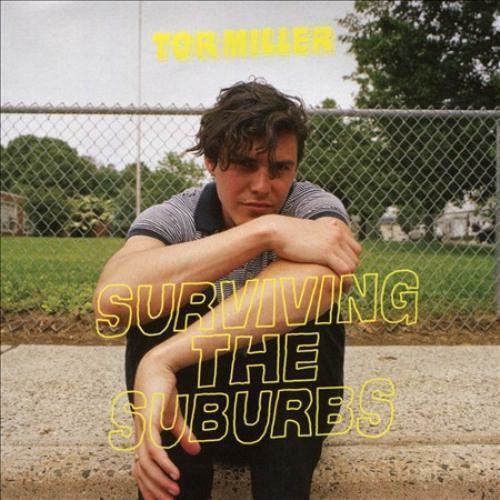 Surviving the Suburbs { vinyl }