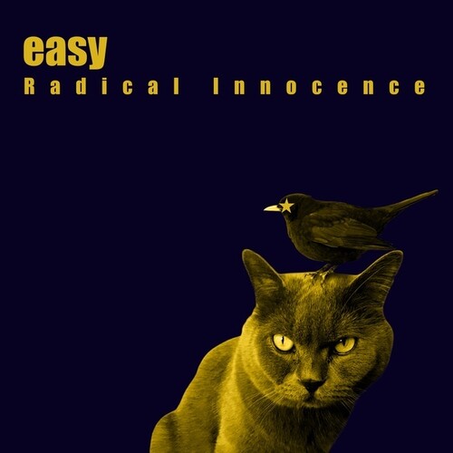 Radical Innocence { vinyl }