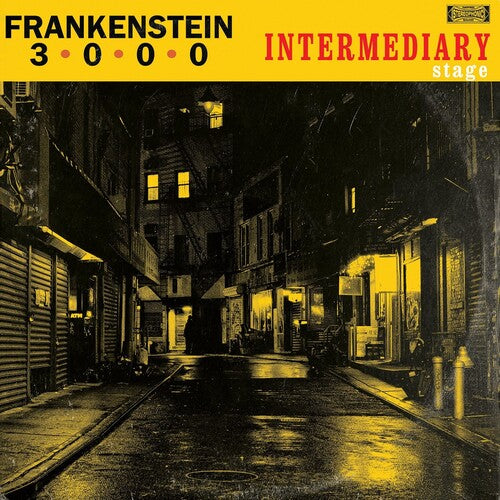 Intermediary Stage { vinyl }