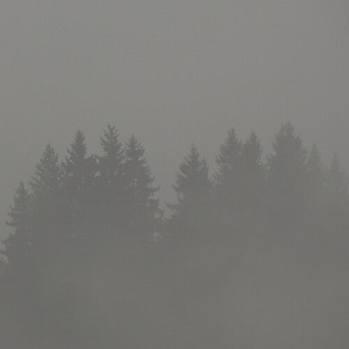 Donnerwetter { vinyl }
