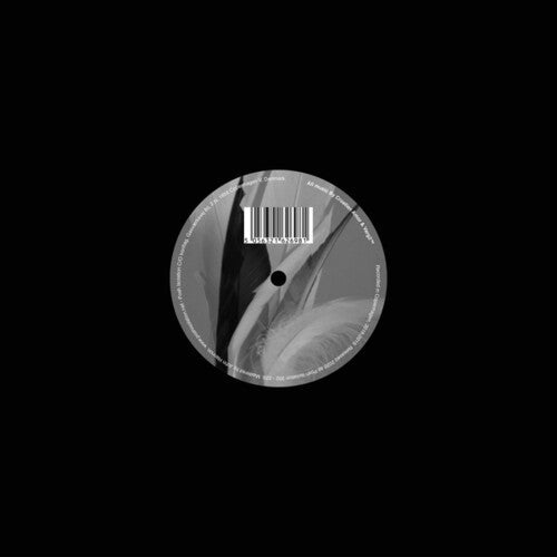 Body of Water / Body of Carbon { vinyl }