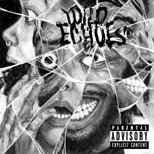 Wild Echoes { vinyl }