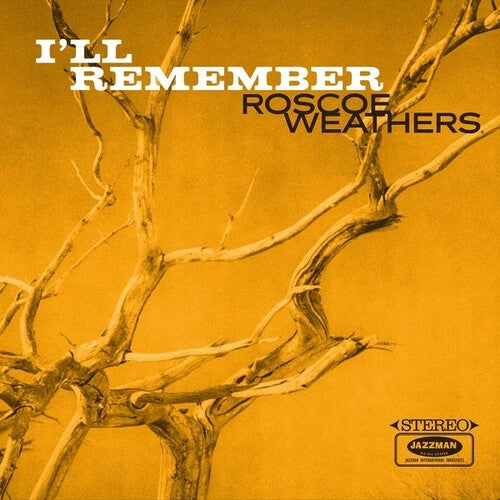 I'Ll Remember { vinyl }