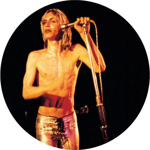 More Power - a Gorgeous Picture Disc Vinyl { vinyl }