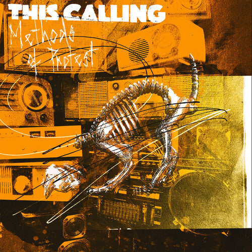 Methods of Protest { vinyl }