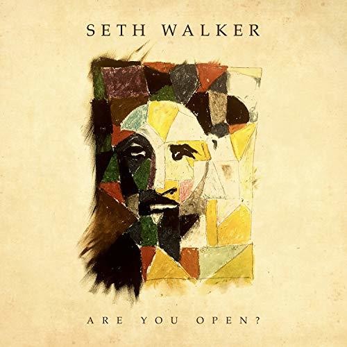 Are You Open { vinyl }