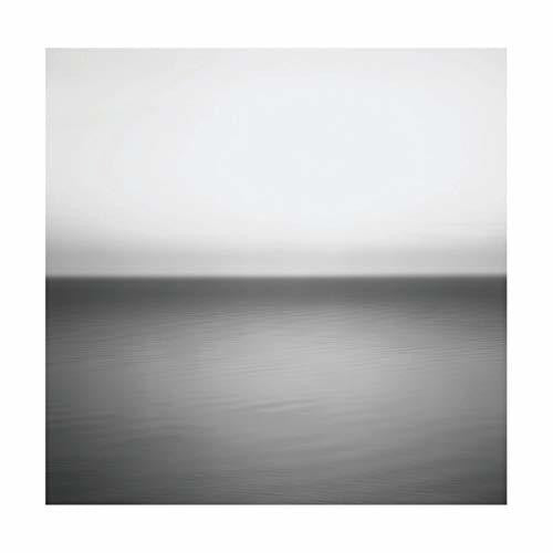 No Line on the Horizon { vinyl }