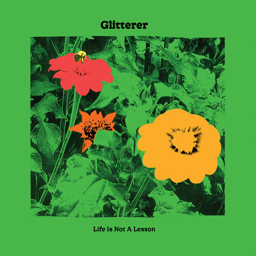 Life Is Not a Lesson { vinyl }