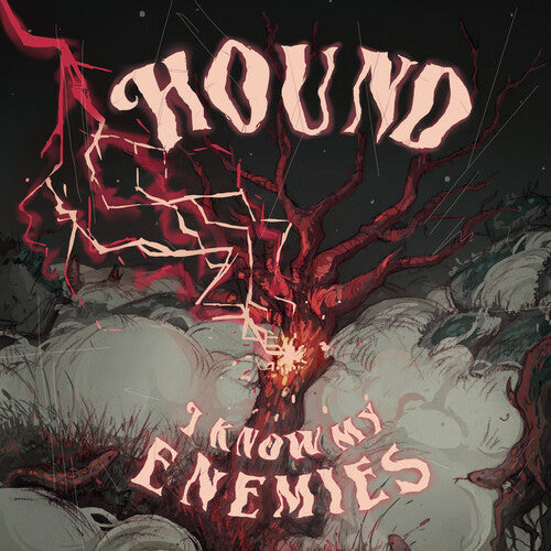 I Know My Enemies { vinyl }