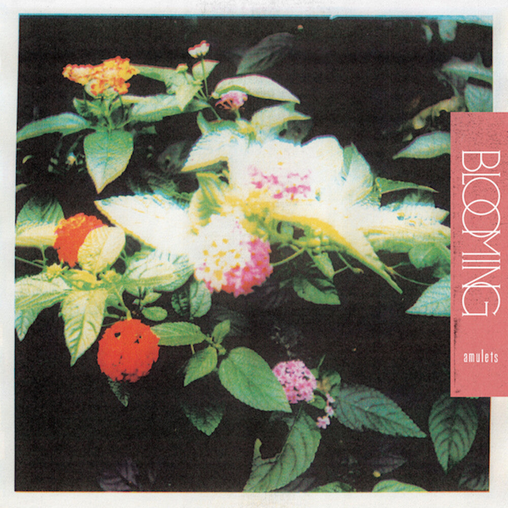 Amulets - Blooming (LP) { vinyl }