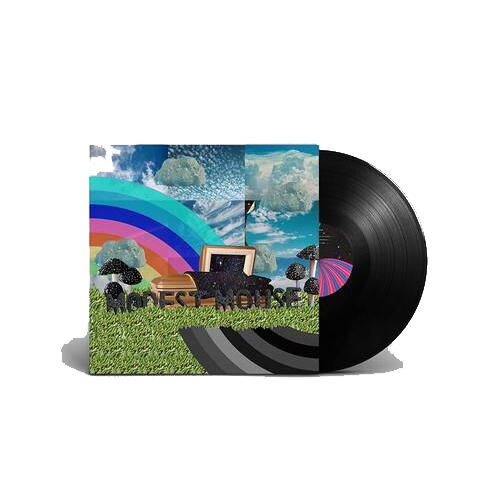 The Golden Casket { vinyl }