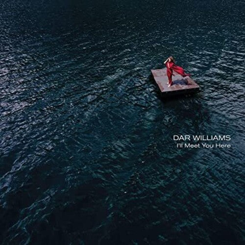 Dar Williams - I'll Meet You Here { vinyl }