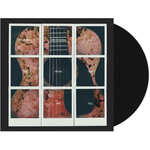 All The Truth That I Can Tell { vinyl }