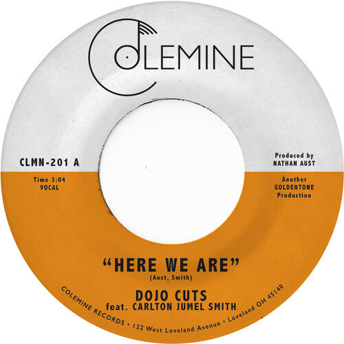 Dojo Cuts - Here We Are (Coke Bottle Clear) { vinyl }