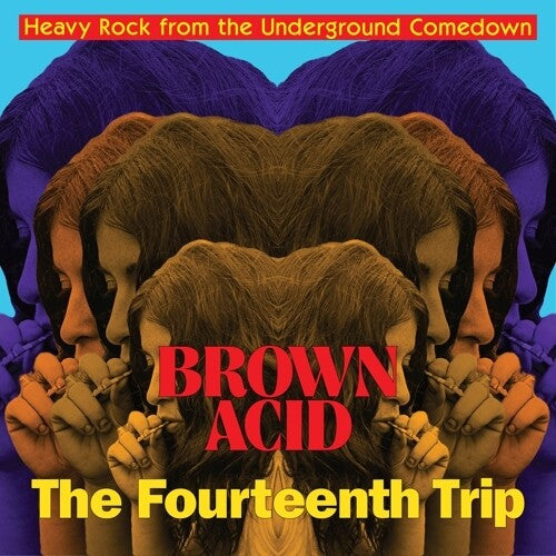 Brown Acid - Fourteenth Trip (various Artists) (Vinyl) { vinyl }